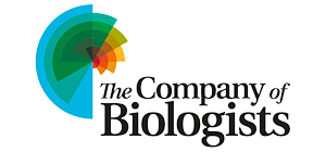 The Company Of Biologists